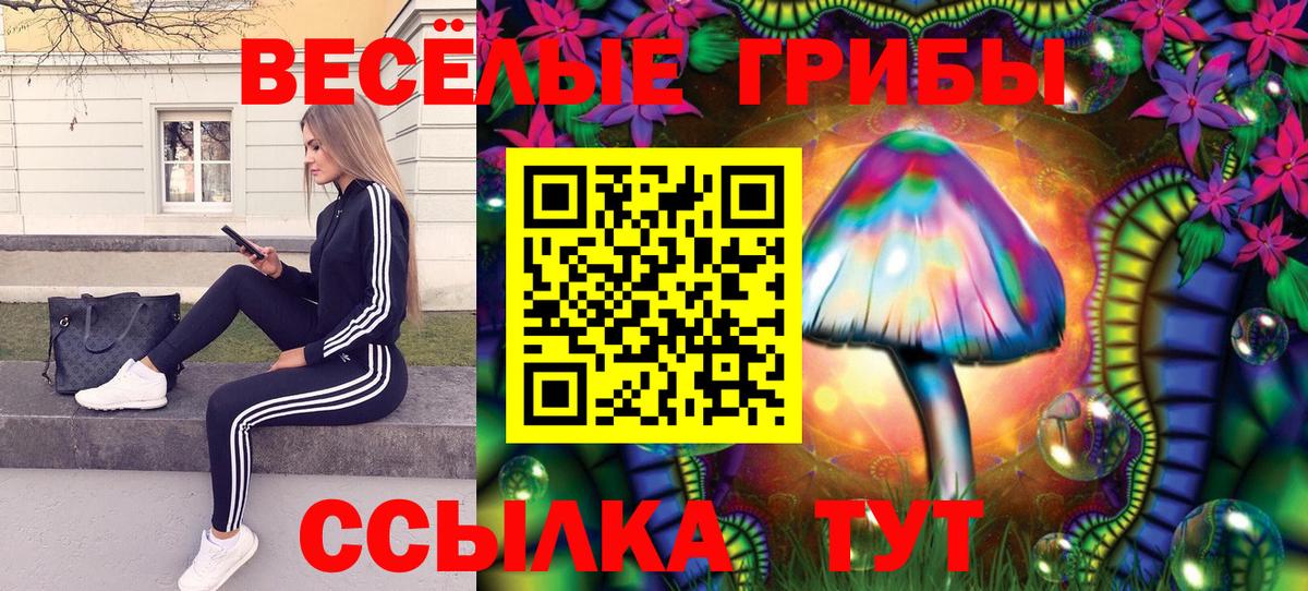 Псилоцибиновые грибы GOLDEN TEACHER Советский
