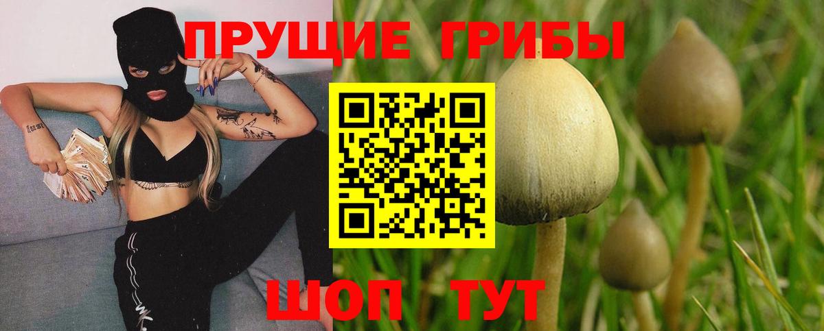 Галлюциногенные грибы мицелий  Вход с VPN  Галлюциногенные грибы Magic Shrooms  что такое   Советский 